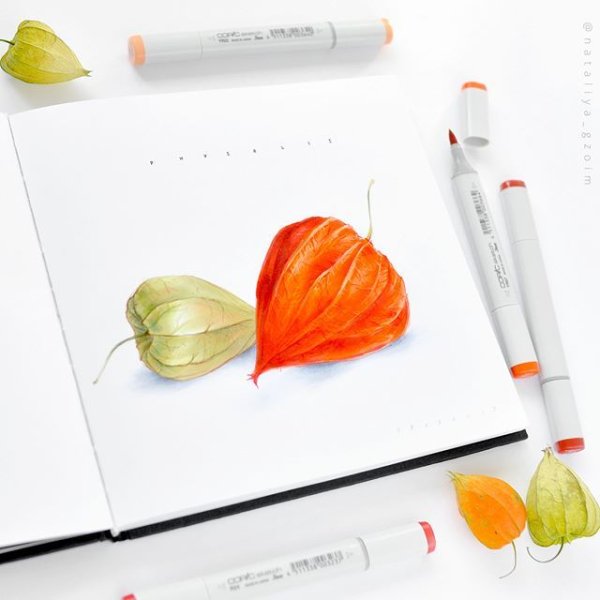 Скетчинг маркерами физалис