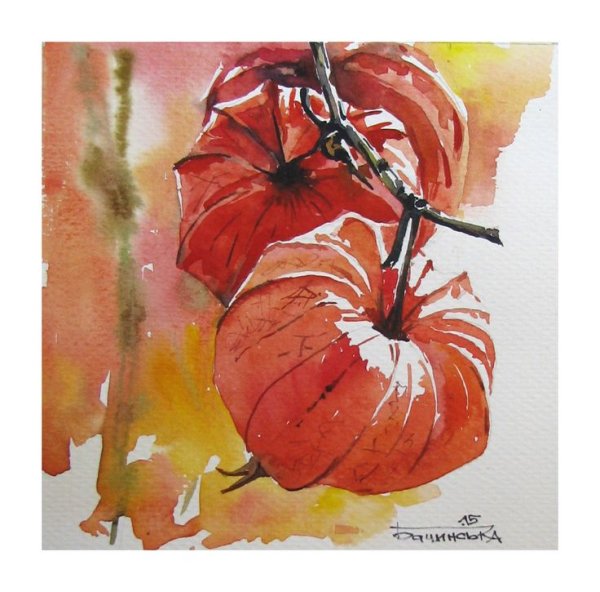 Венок с физалисом рисунок