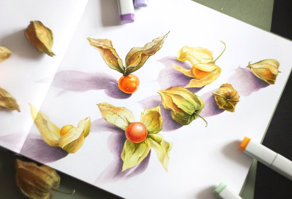 Шаблон физалиса из фоамирана