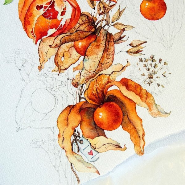 Стилизация растений в графике