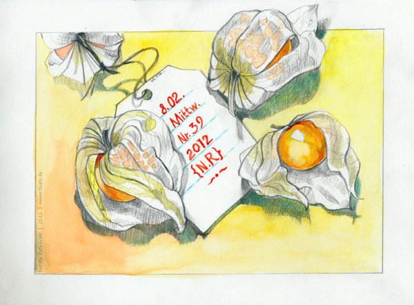 Физалис акварелью скетч