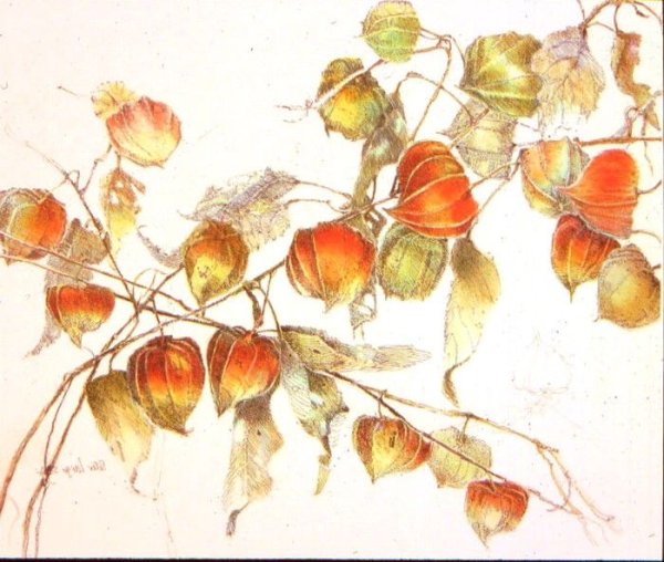 Тыква скетчинг маркерами