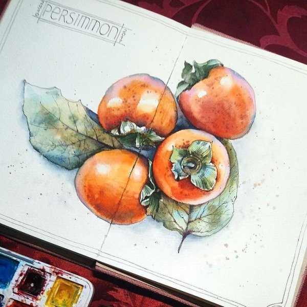 Акварельные иллюстрации