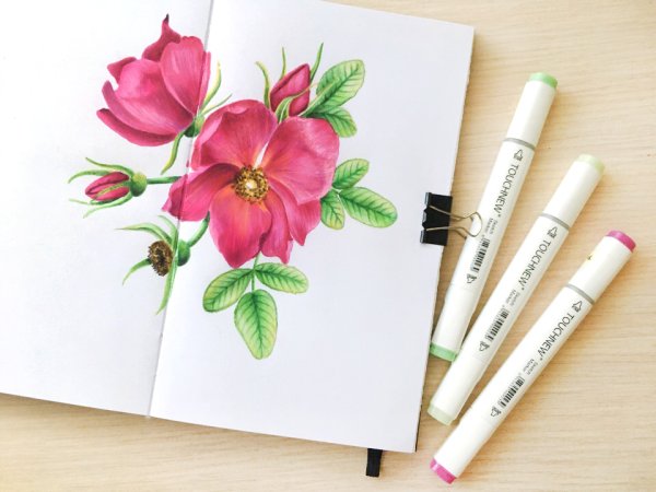 Цветы для рисования фломастерами