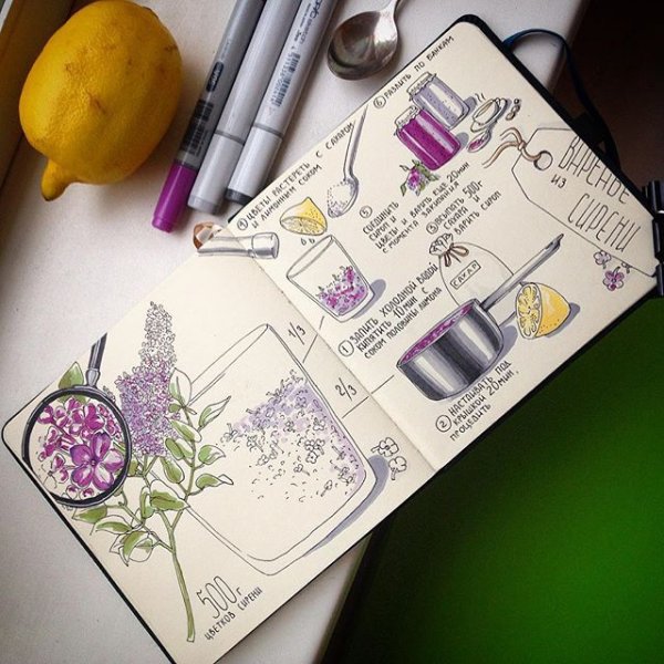 Sibylline Meynet иллюстрации