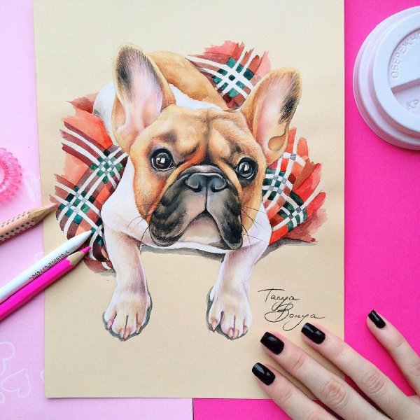 Собаки маркерами рисование