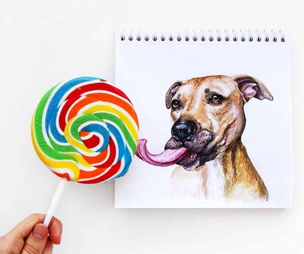 Необычные рисунки собаки