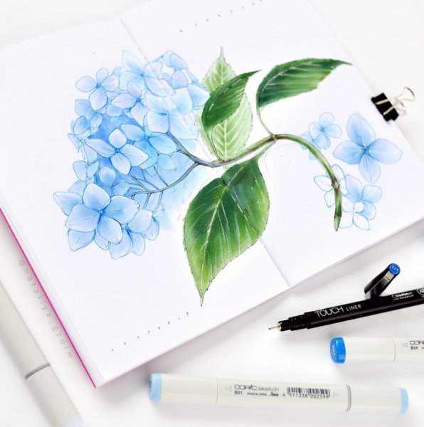 Скетчи синим маркером