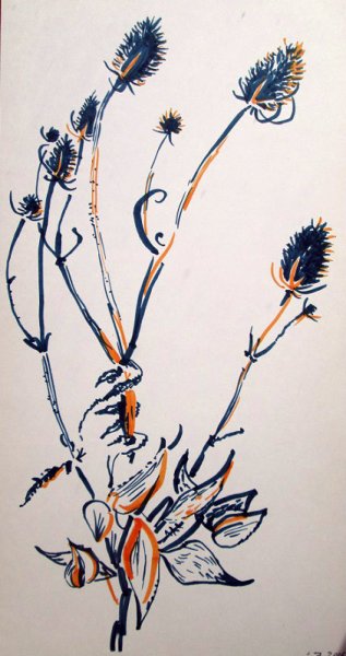 Зарисовка силуэта сухих растений и трав