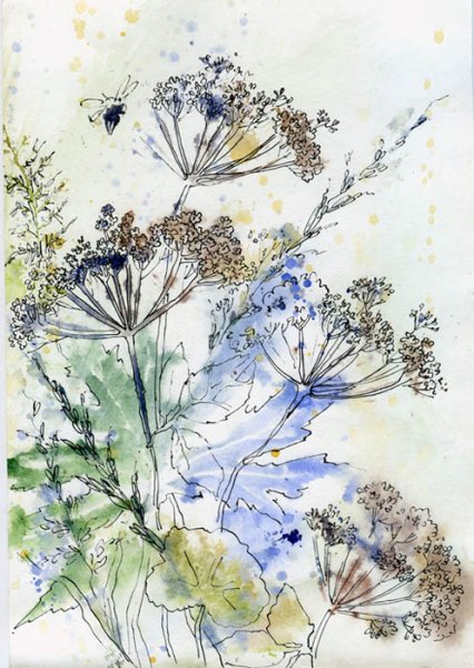 Сухоцветы акварель