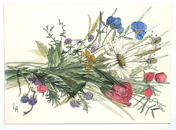 Акварель Ботаническая Полев цветы