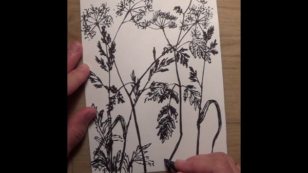 Трава фломастером