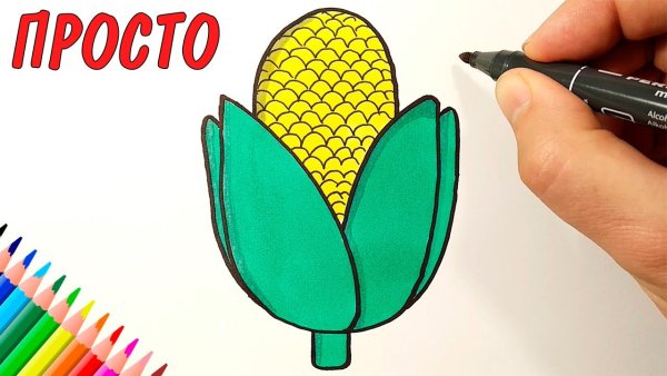 Кукуруза панно