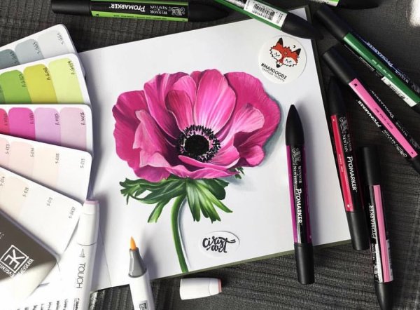 Цветы маркерами для скетчинга