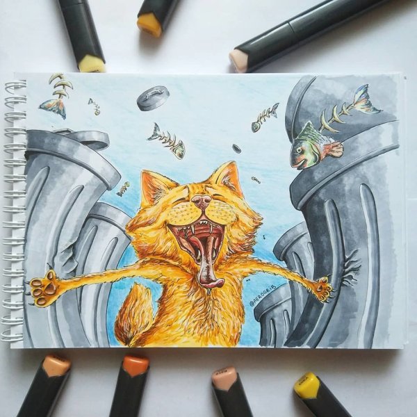 Кот маркерами