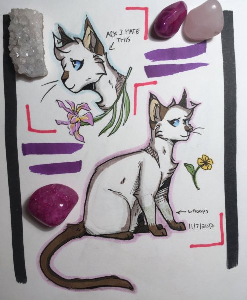 Котики для скетчбука