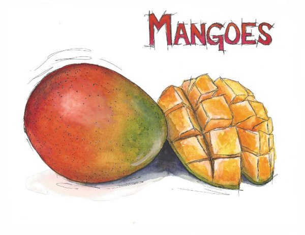 Манго фрукт акварель
