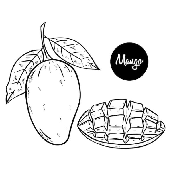 Зарисовка манго карандашом