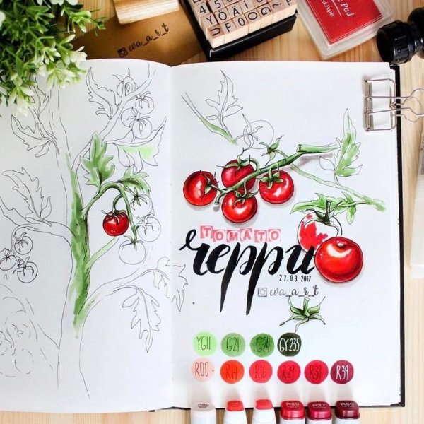 Ягоды скетч маркерами