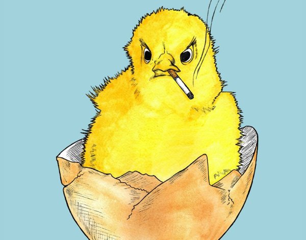 Цыпленок карандашом