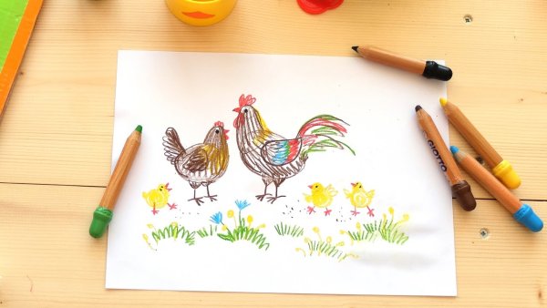 Попугай корелла референс