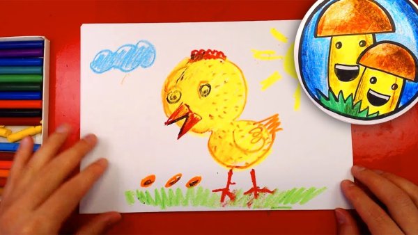 Курица рисунок акварель