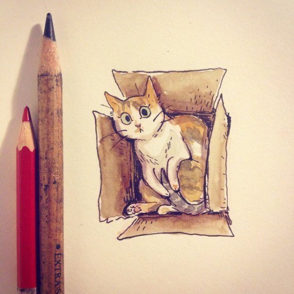 Котик в скетчбуке