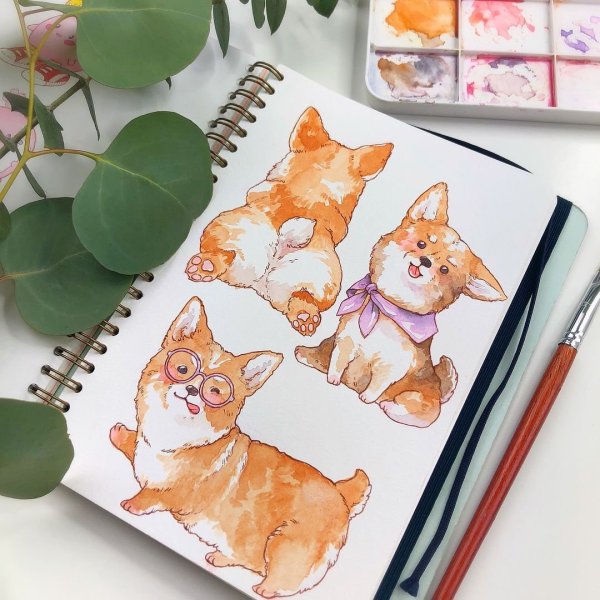 Скетчинг котики