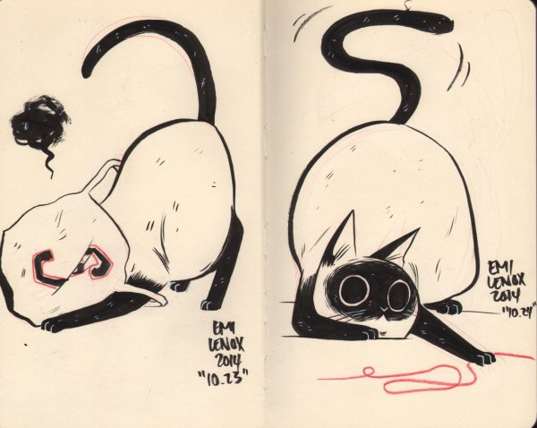 Котиркти для скейчбука