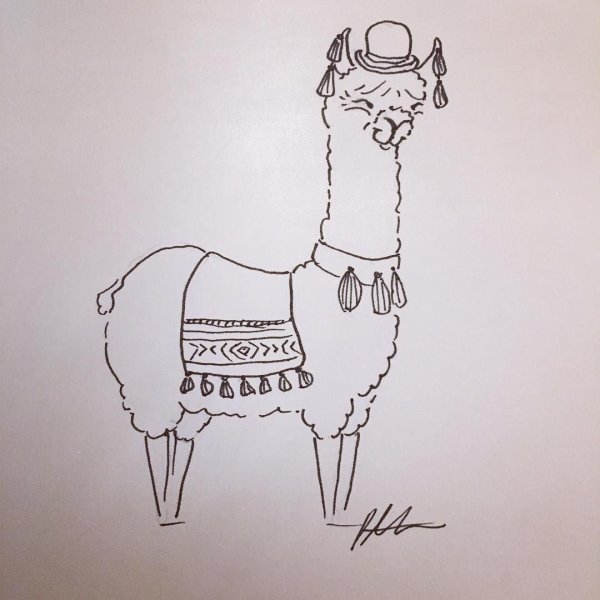 Лама набросок