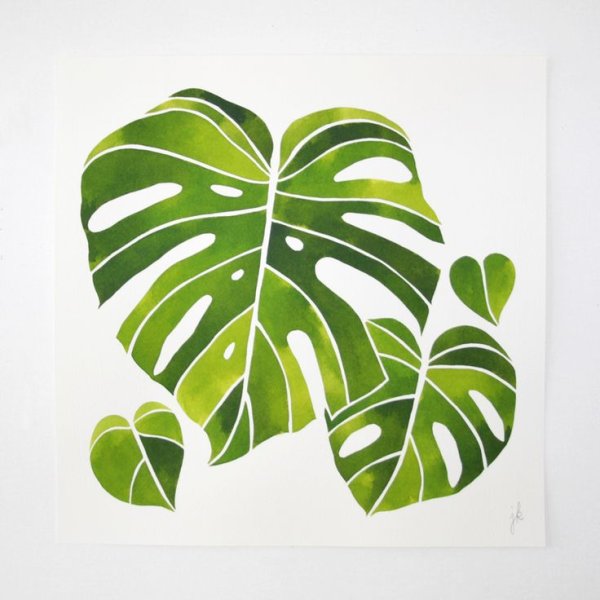 Тропические листья маркерами