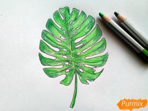 Листья маркерами