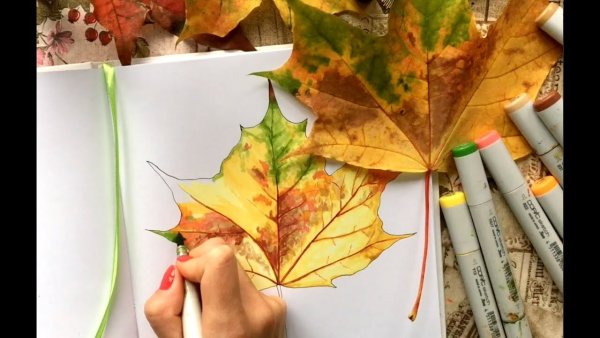 Скетчинг маркерами листья