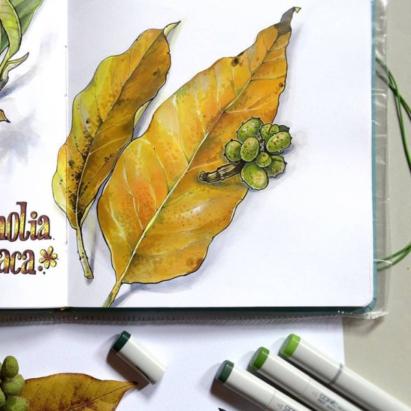 Осенний скетчинг