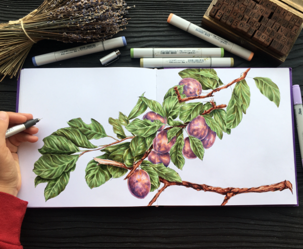 Простые растения маркерами