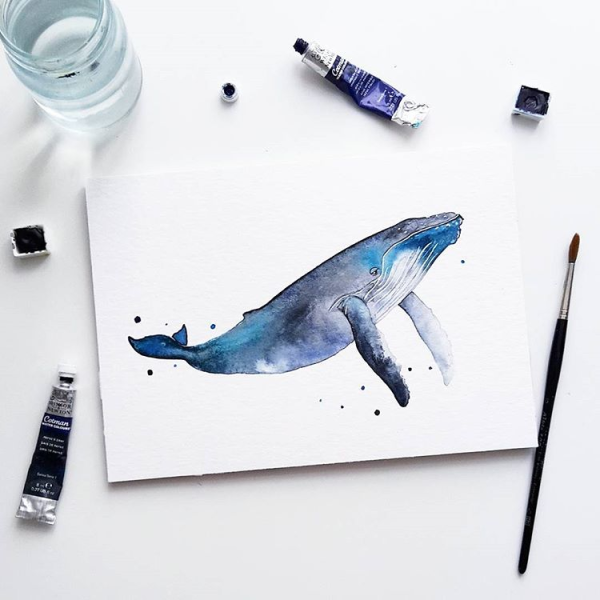 Кит Акварельная иллюстрация