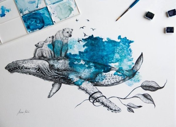 Скетчинг кит