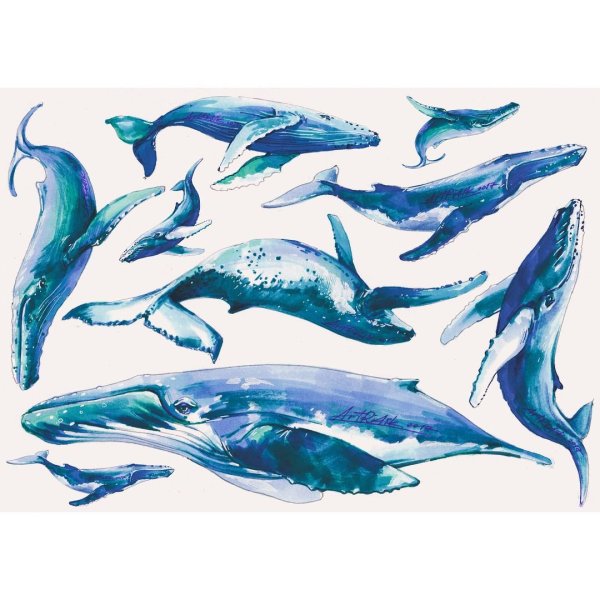 Дельфины фломастерами