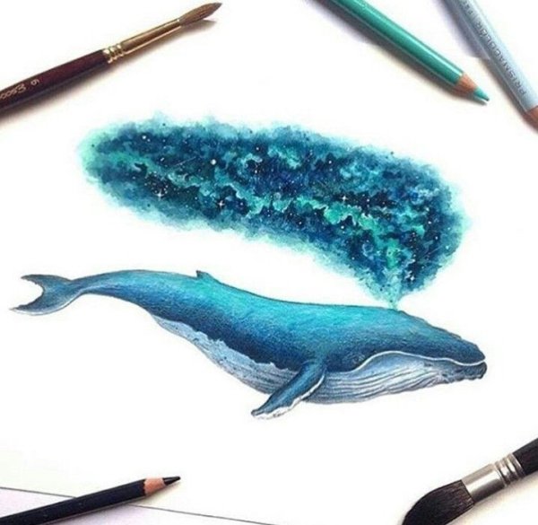 Кит скетч маркерами