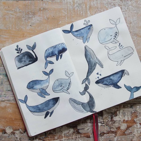 Кит рисунок фломастерами