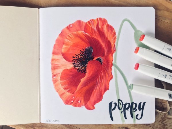 Маркеры для скетчинг