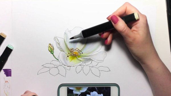 Маркеры TOUCHFIVE 80