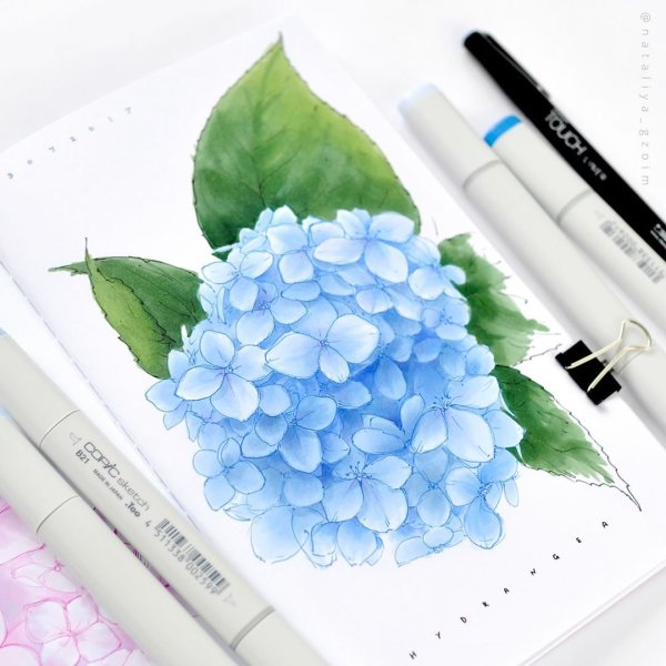 Цвета скетч маркеров