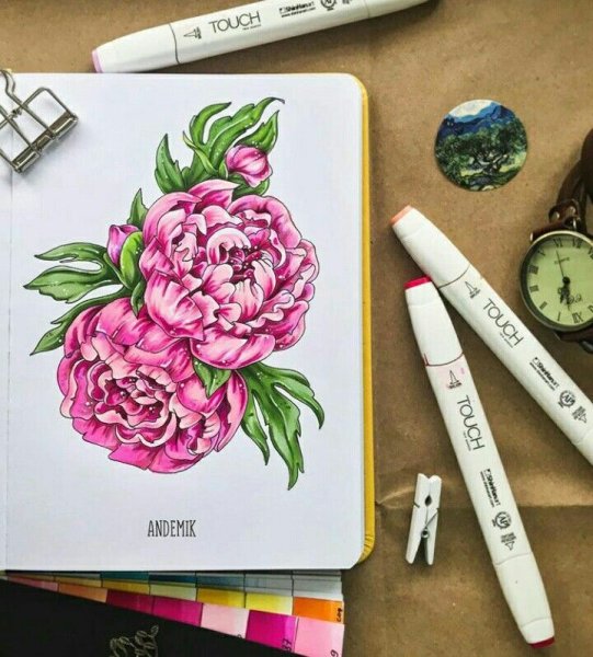 Цветы для рисования маркерами для скетчинга