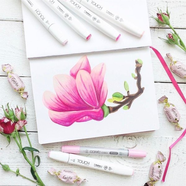 Магнолия рисунок маркерами