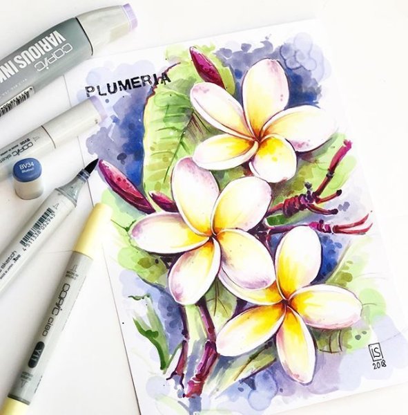 Летние скетчи маркерами