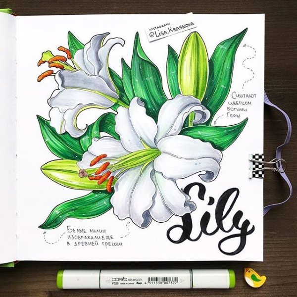 Маркеры Touch 60 PCS