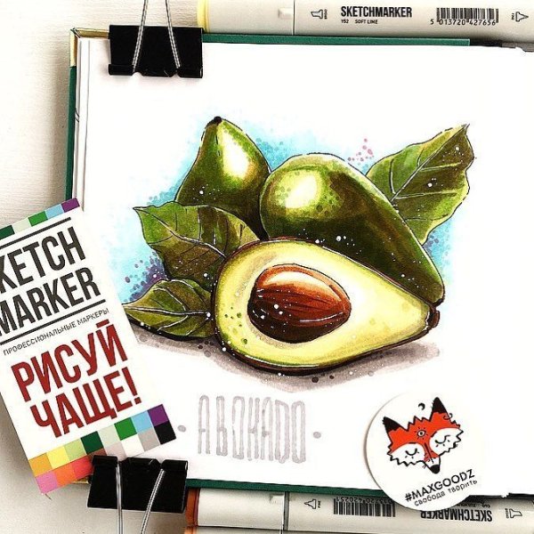 Авокадо скетч маркерами