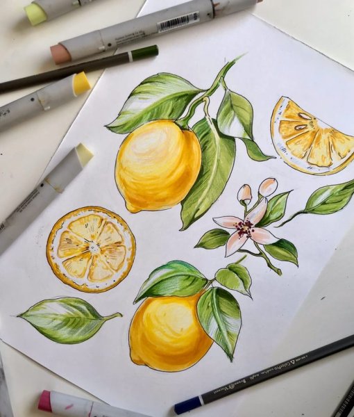 Рисунки маркерами для начинающих