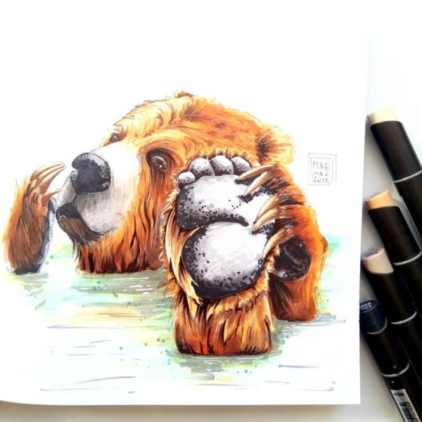 Мишка скетч маркерами